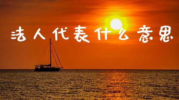 法人代表什么意思_https://wap.lxcailiao.com_财务管理_第1张