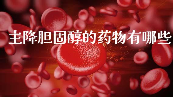 主降胆固醇的药物有哪些_https://wap.lxcailiao.com_金融监管_第1张