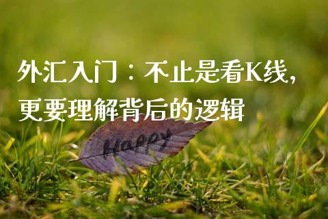 外汇入门：不止是看K线，更要理解背后的逻辑_https://wap.lxcailiao.com_股权投资_第1张