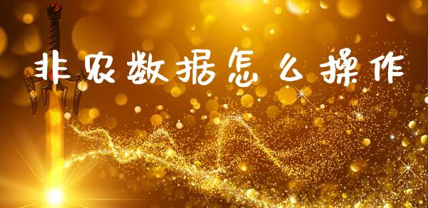 非农数据怎么操作_https://wap.lxcailiao.com_金融监管_第1张