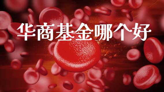 华商基金哪个好_https://wap.lxcailiao.com_融资担保_第1张