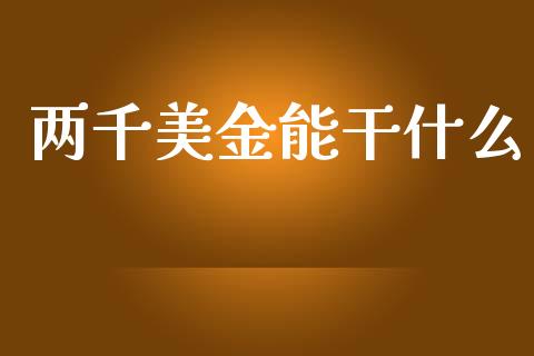 两千美金能干什么_https://wap.lxcailiao.com_股权投资_第1张