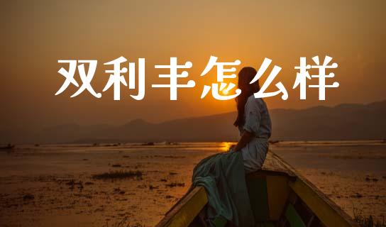 双利丰怎么样_https://wap.lxcailiao.com_金融监管_第1张
