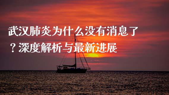武汉肺炎为什么没有消息了？深度解析与最新进展_https://wap.lxcailiao.com_金融监管_第1张