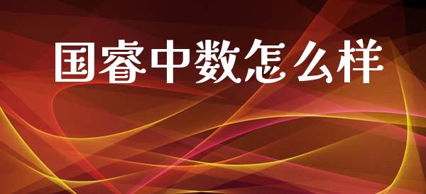 国睿中数怎么样_https://wap.lxcailiao.com_融资担保_第1张