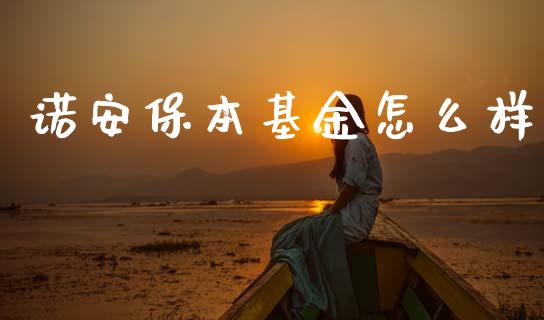 诺安保本基金怎么样_https://wap.lxcailiao.com_融资担保_第1张